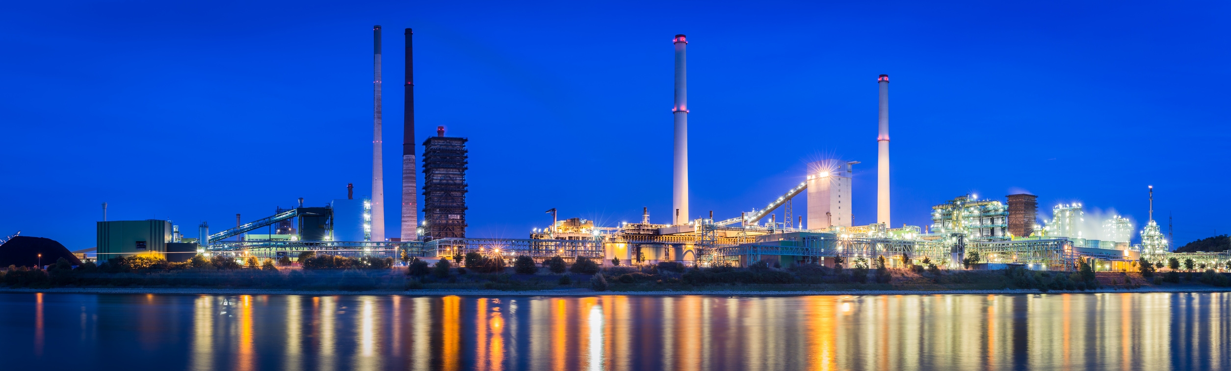 Professionelles Schädlingsmonitoring für Gewerbe und Industrie